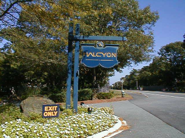 Halcyon Photo